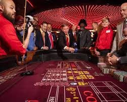 Structured cricket guide journey across lv18 pages for adult users